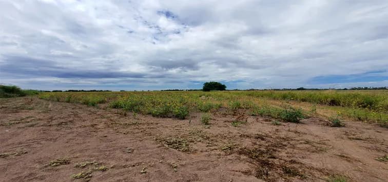 En Venta excelente Predio Agrícola, San Miguel Zapotitlán