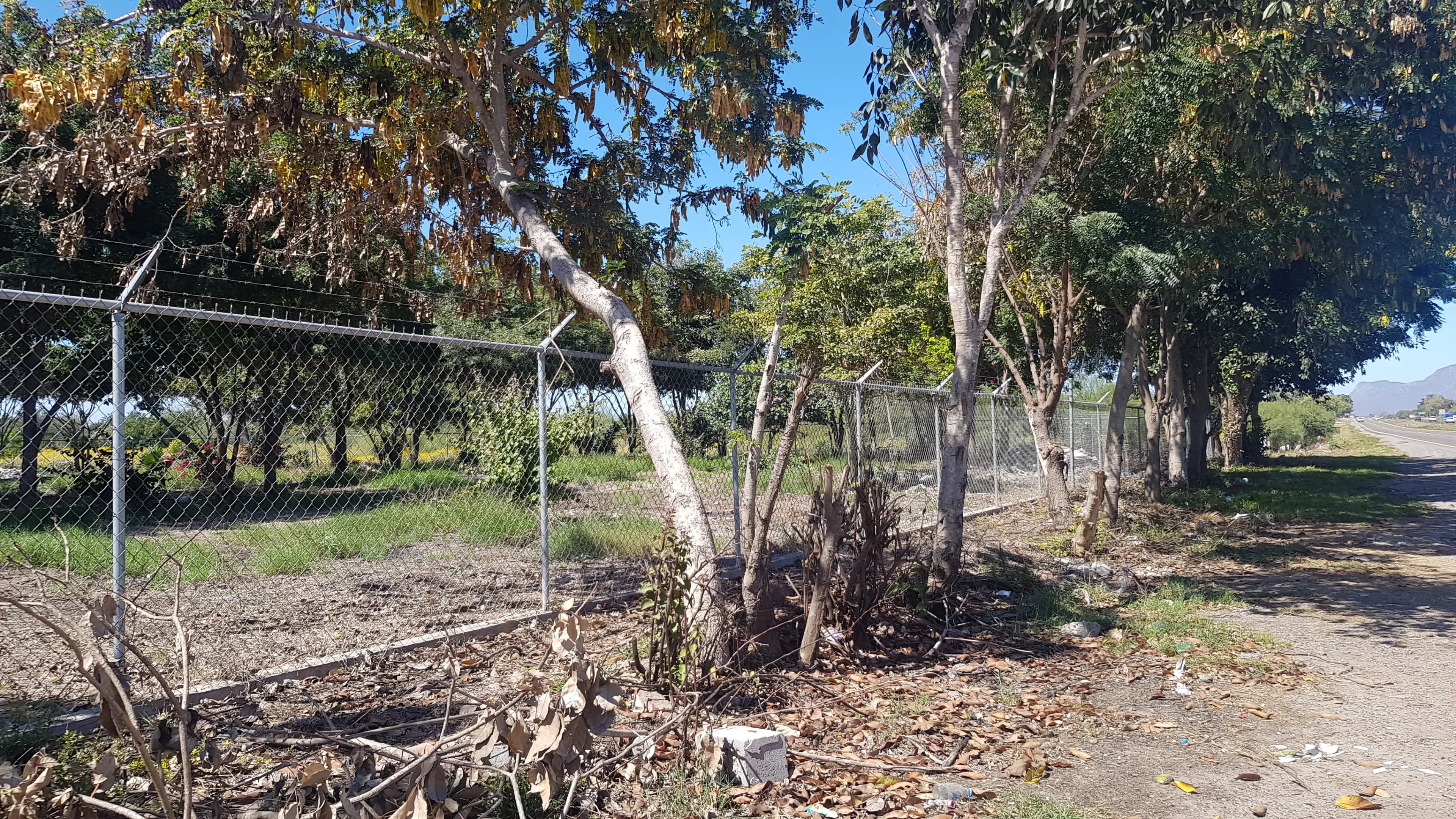 TERRENO EN RENTA SOBRE LA INTERNACIONAL