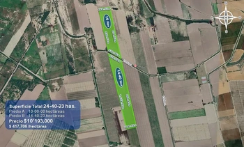 9_2931 | 24.40 HECTAREAS AGRÍCOLAS EN VENTA Ejido Suarez (Campo Gastélum o Cohuibampo), Ahome Sinaloa | Inmobiliaria Carfer