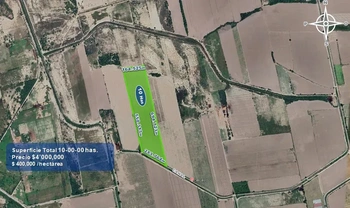 9_2932 | 10 HECTAREAS AGRÍCOLAS Ejido Suarez (Campo Gastelum y Cohuibampo), Ahome Sinaloa | Inmobiliaria Carfer