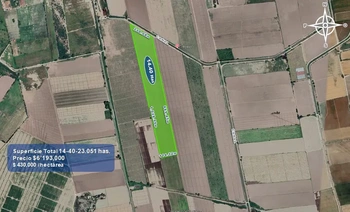 9_2933 | 14.40 HECTAREAS AGRÍCOLAS Ejido Suarez (Campo Gastelum y Cohuibampo), Ahome Sinaloa | Inmobiliaria Carfer