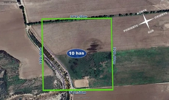 9_2455 | 10 hectareas uso agricola  Zaratajoa Bacahui, Guasave, Sinaloa | Inmobiliaria Carfer