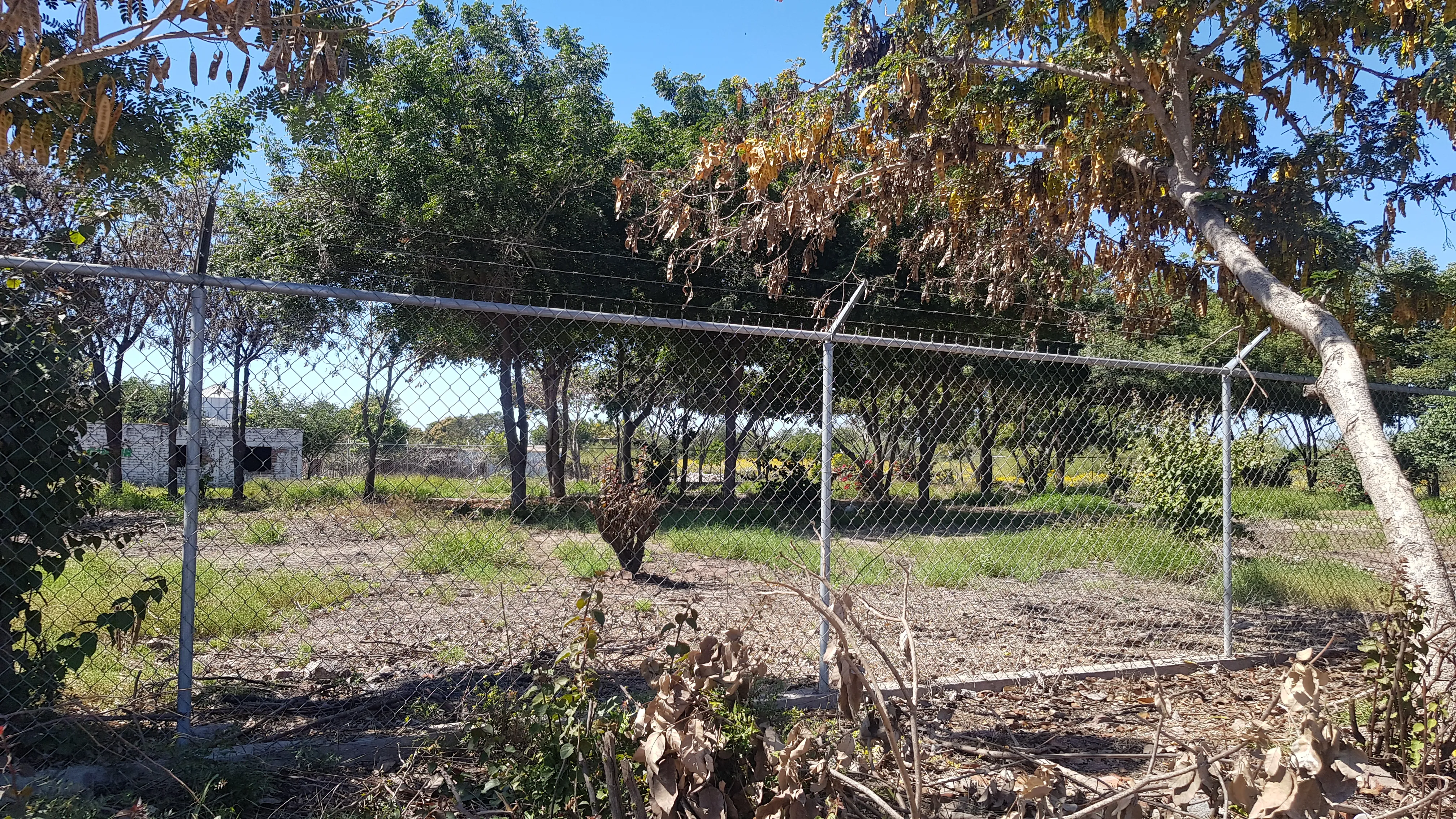 TERRENO EN RENTA SOBRE LA INTERNACIONAL